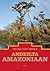 Andeilta Amazoniaan