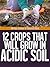 12 Crops That Will Grow In Acidic Soil