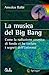 La musica del Big Bang. Come la radiazione cosmica di fondo ci ha svelato i segreti dell'Universo