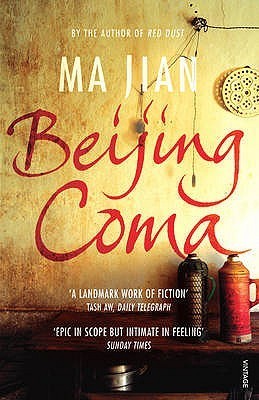 Beijing Coma