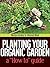 Planting your organic garde...