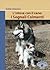 L'intesa con il cane: i segnali calmanti