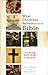 What Christians Believe abo...