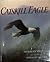 Catskill Eagle