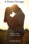 A Perfect Stranger (Tom's River Saga, #1)