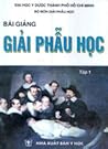 Bài giảng Giải Ph...