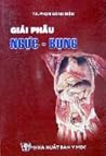 Giải phẫu Ngực - ...