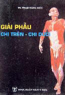 Giải phẫu Chi trên - Chi dưới