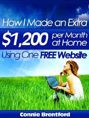 How I Made An Extra $1200 Per Month At Home Using One Free Website