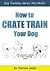 How to Crate Train Your Dog