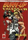 Burn-Up Excess & W