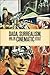 DADA, Surrealism, and the Cinematic Effect by R. Bruce Elder