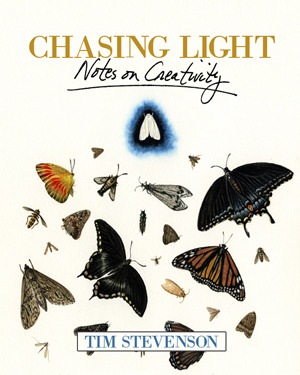 Chasing Light - Notes on Creativity