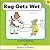 Rag Gets Wet (Hooked on Phonics, Hop Book 10)