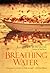 Breathing Water by T. Greenwood