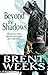 Beyond the Shadows (Night Angel, #3)