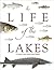 The life of the lakes: A guide to the Great Lakes fishery (MSU extension bulletin)