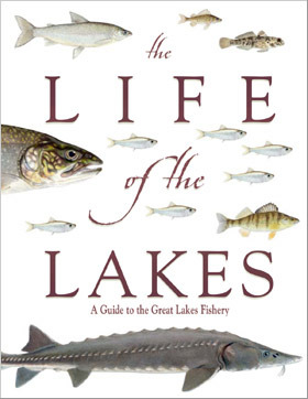 The life of the lakes: A guide to the Great Lakes fishery (MSU extension bulletin)