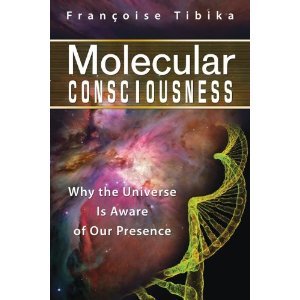 Molecular Consciousness: Why the Universe Is Aware of Our Presence (Paperback)