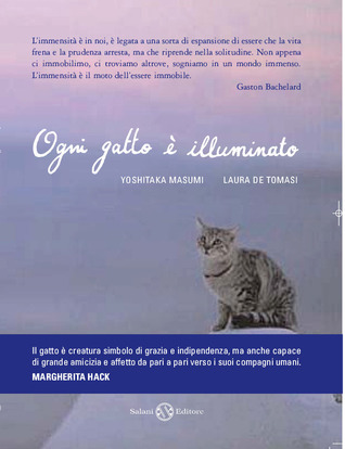 Ogni gatto è illuminato (Paperback)