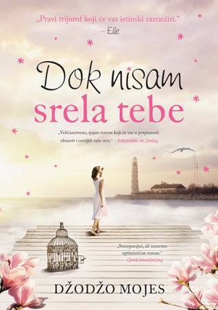 Dok nisam srela tebe (Me Before You #1)