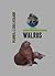 Walrus: Picture book