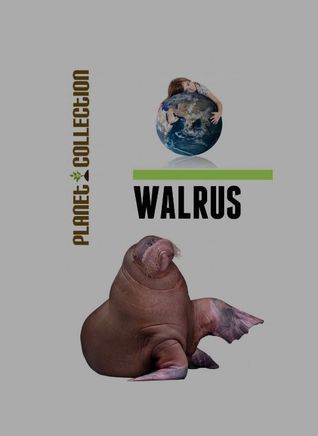 Walrus: Picture book (Kindle Edition)