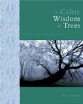 The Celtic Wisdom of Trees : Mysteries, Magic and Medicine (Paperback)