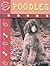 Poodles (Rourke's Guide to Dogs)