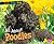 All about Poodles (Dogs, Dogs, Dogs)