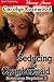 Seducing The Chambermaid (Notorious Nephilim 2)