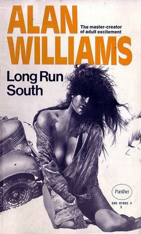 Long Run South (Paperback)