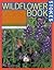 The Wildflower Book: East of the Rockies: A Complete Guide to Growing and Identifying Wildflowers
