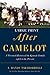 After Camelot: A Personal History of the Kennedy Family--1968 to the Present