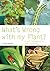 What's Wrong with My Plant? by Steven Bradley