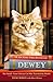 Dewey the Library Cat by Vicki Myron