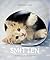 Smitten by Rachael Hale
