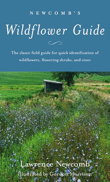 Newcomb’s Wildflower Guide
