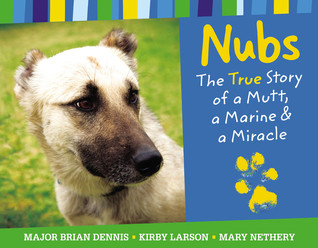 Nubs: The True Story of a Mutt, a Marine & a Miracle (Hardcover)