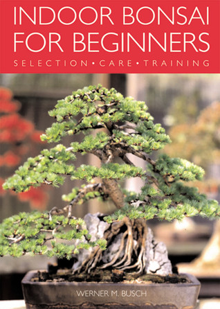 Indoor Bonsai for Beginners: Selection · Care · Training