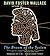 The Broom of the System by David Foster Wallace