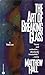 The Art of Breaking Glass by Matthew Hall The Art of Breaking Glass by Matthew Hall