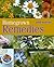 Homegrown Remedies by Anne McIntyre