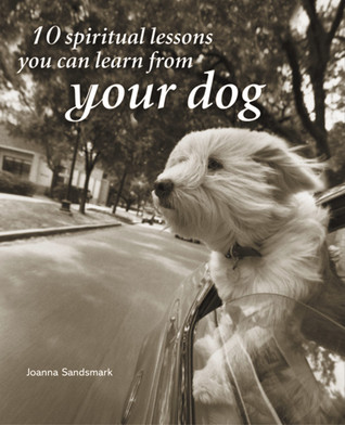 10 Spiritual Lessons You Can Learn from Your Dog