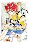 Angel Diary, Vol. 03