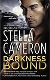 Darkness Bound by Stella Cameron