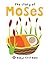Story of Moses: Baby's First Bible (Bible Stories, 3)