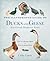 The Illustrated Guide to Ducks and Geese and Other Domestic Fowl: How To Choose Them - How To Keep Them