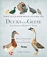 The Illustrated Guide to Ducks and Geese and Other Domestic Fowl by Celia Lewis