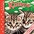 Little Lives: Kittens: A po...